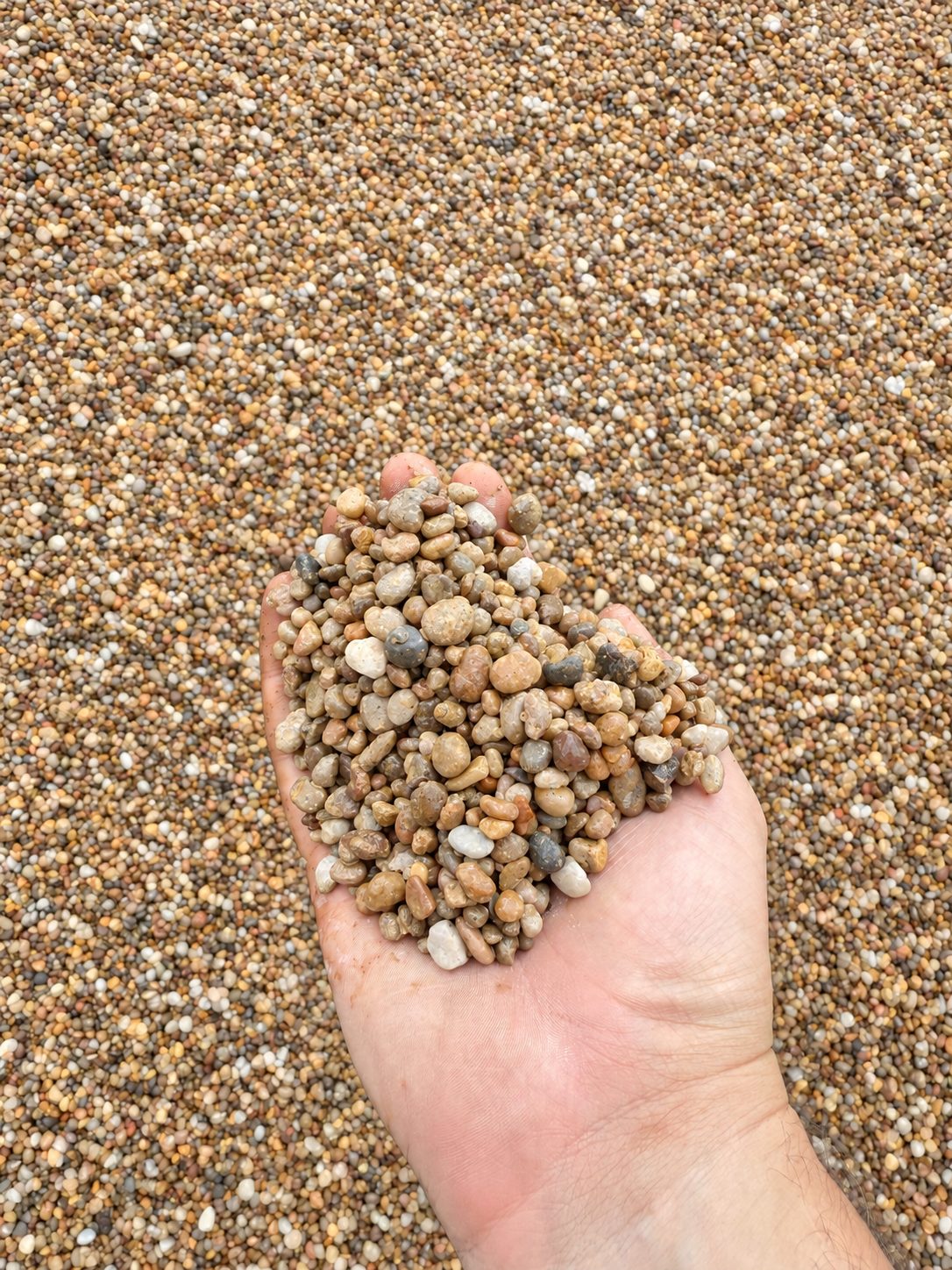 Pea Gravel 3/8" River Rock delivered in bulk by Yard Drop